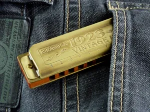 harmonica jigsaw puzzle