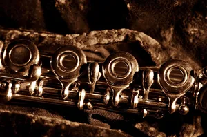 flute jigsaw puzzle