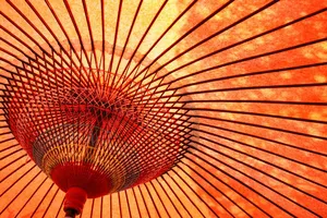 umbrella jigsaw puzzle