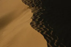desert jigsaw puzzle