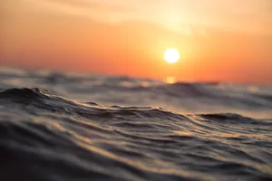 ocean jigsaw puzzle