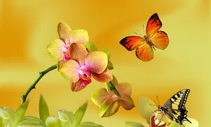 yellow orchid jigsaw puzzle