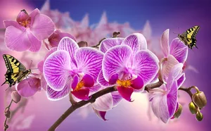 orchids jigsaw puzzle