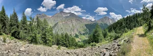 view of treeline by mountain during daytime jigsaw puzzle