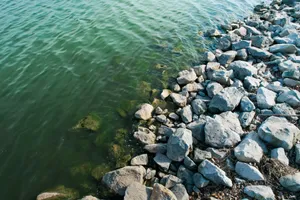 Rocky shoreline meets calm green water jigsaw puzzle