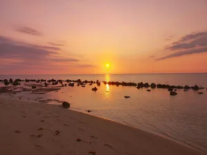 silhouette of people on beach during sunset jigsaw puzzle