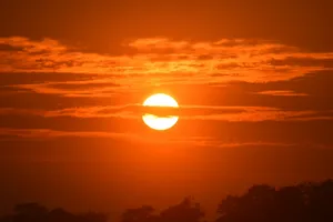 silhouette of trees during sunset jigsaw puzzle