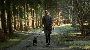 woman in black jacket walking with black labrador retriever on pathway during daytime jigsaw puzzle