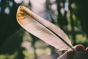 person holding white feather jigsaw puzzle