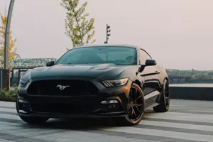 black Ford Mustang coupe parked near green tree jigsaw puzzle