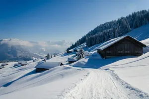 brown wooden house on snow covered ground under blue sky during daytime jigsaw puzzle