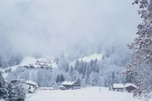 snow covered houses and trees during daytime jigsaw puzzle