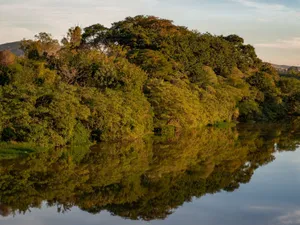 Peaceful reflection of lush forest on a river at sunset, providing a calming natural scene. jigsaw puzzle