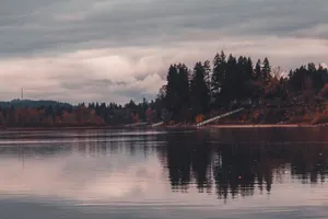 Tranquil reflection of trees on calm water under a cloudy sky in West Linn, Oregon. jigsaw puzzle