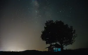 Silhouette of tree and house under a starry sky with visible cosmic features. jigsaw puzzle