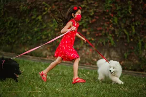Young girl in red dress walking two dogs on leashes in a vibrant park setting. jigsaw puzzle