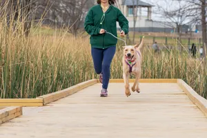 A woman jogging with her happy dog on a scenic outdoor path. jigsaw puzzle