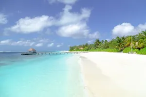Stunning tropical beach with palm trees, azure sea, and a wooden pier under a clear blue sky. jigsaw puzzle